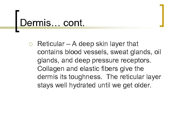 Dermis… cont. ¡ Reticular – A deep skin layer that contains blood vessels, sweat