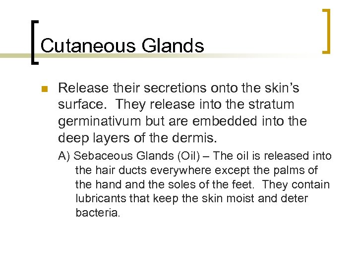 Cutaneous Glands n Release their secretions onto the skin’s surface. They release into the