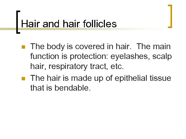 Hair and hair follicles n n The body is covered in hair. The main