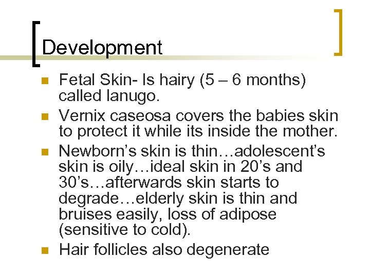 Development n n Fetal Skin- Is hairy (5 – 6 months) called lanugo. Vernix