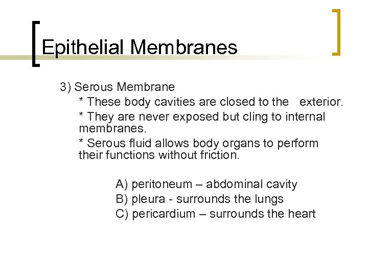 Epithelial Membranes 3) Serous Membrane * These body cavities are closed to the exterior.