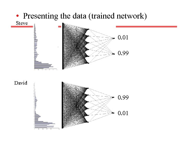  • Presenting the data (trained network) Steve 0. 01 0. 99 David 0.