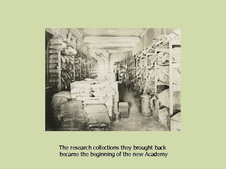 The research collections they brought back became the beginning of the new Academy 
