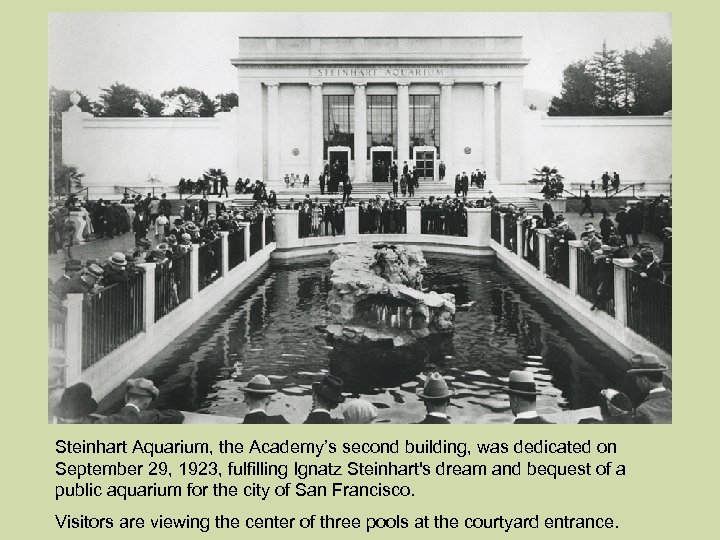 Steinhart Aquarium, the Academy’s second building, was dedicated on September 29, 1923, fulfilling Ignatz
