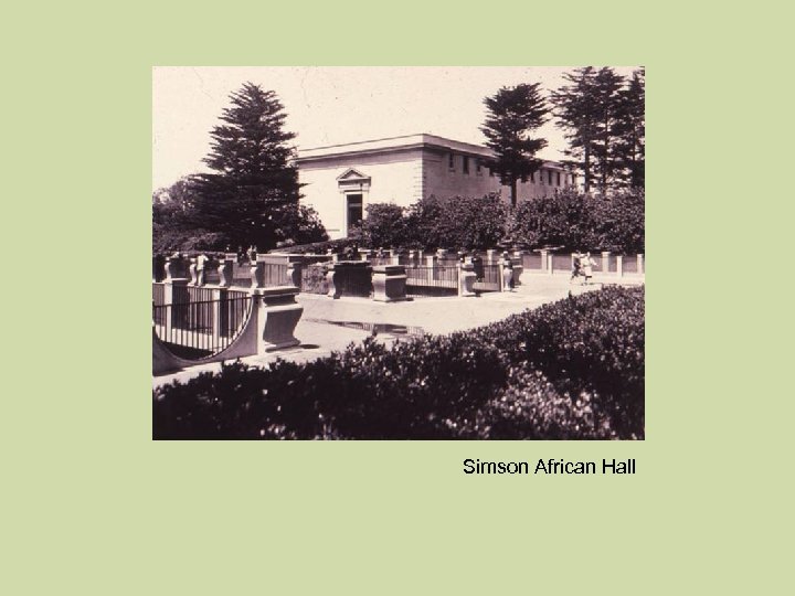 Simson African Hall 