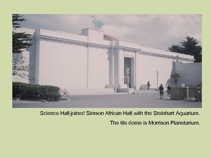 Science Hall joined Simson African Hall with the Steinhart Aquarium. The tile dome is
