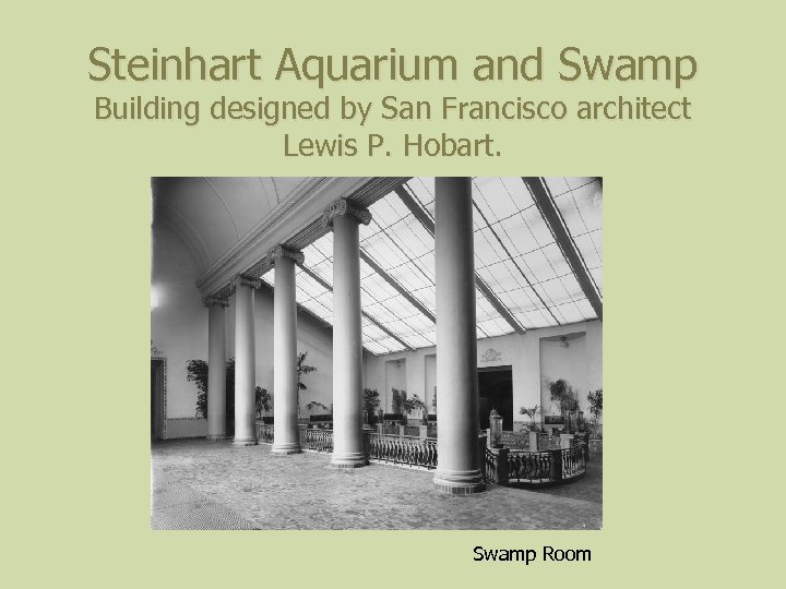 Steinhart Aquarium and Swamp Building designed by San Francisco architect Lewis P. Hobart. Swamp