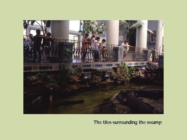 The tiles surrounding the swamp 