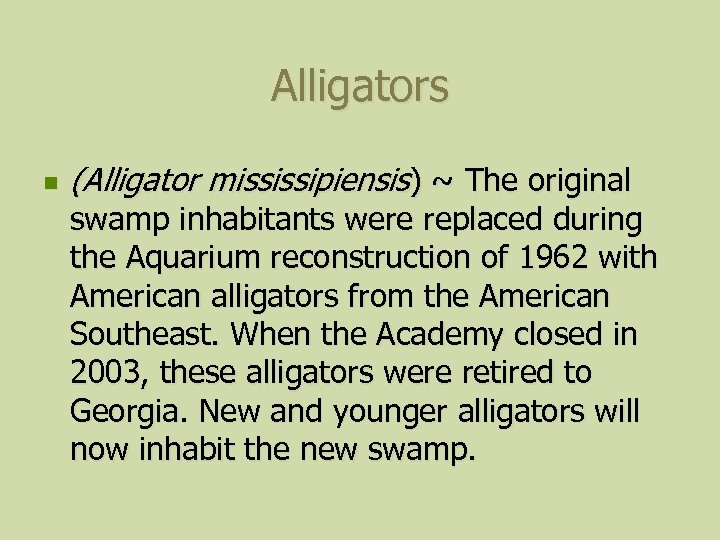 Alligators n (Alligator mississipiensis) ~ The original swamp inhabitants were replaced during the Aquarium