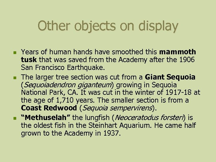 Other objects on display n n n Years of human hands have smoothed this