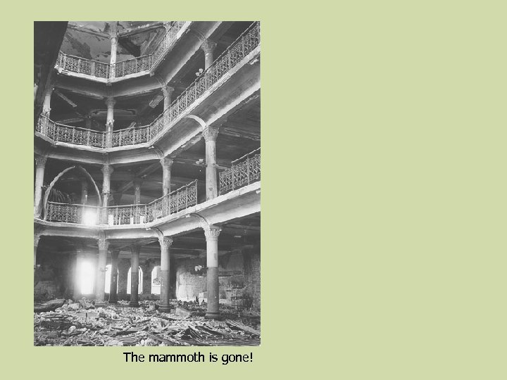 The mammoth is gone! 