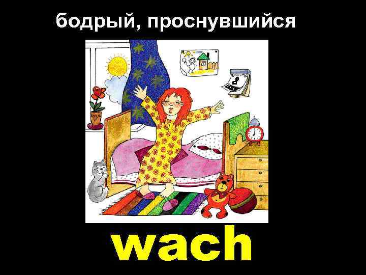 бодрый, проснувшийся wach 