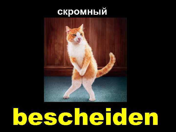 скромный bescheiden 