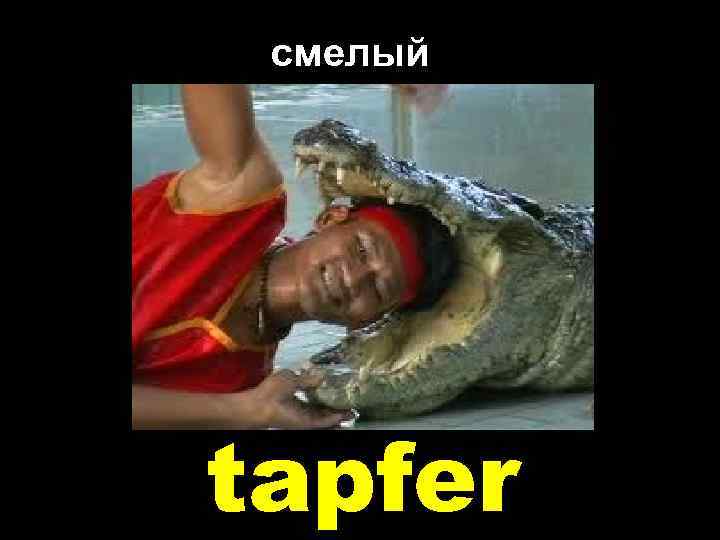 смелый tapfer 