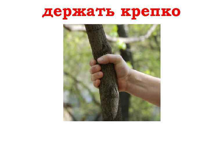 держать крепко festhalten 