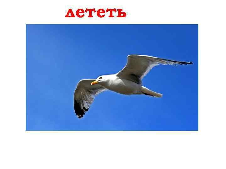 лететь fliegen 