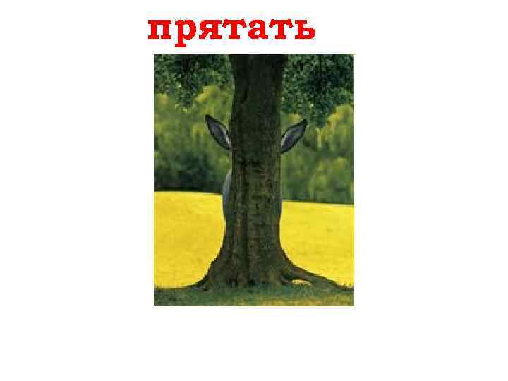 прятать verstecken 