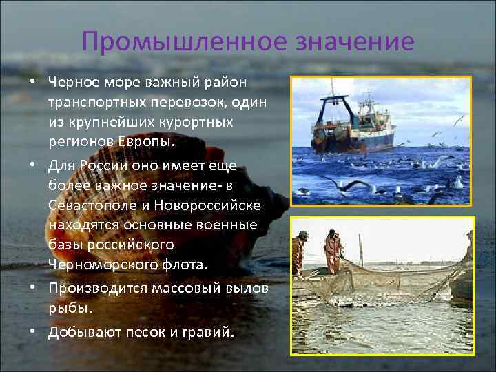 Азовское море презентация 8 класс география