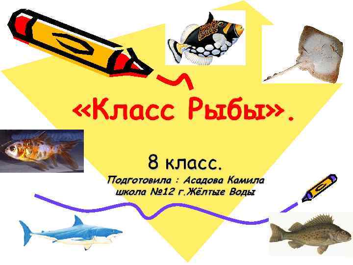 Русский 7 класс рыба. Физика карточка 7 класс с рыбами. Led book на д класс рыбы. Интересный классный существительное 5 класс рыбка. Рыбка технология 3 класс.