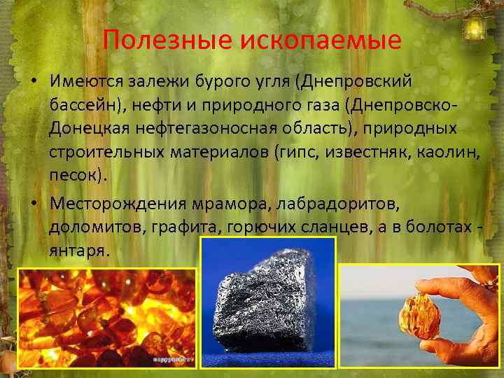Полезные ископаемые • Имеются залежи бурого угля (Днепровский бассейн), нефти и природного газа (Днепровско.