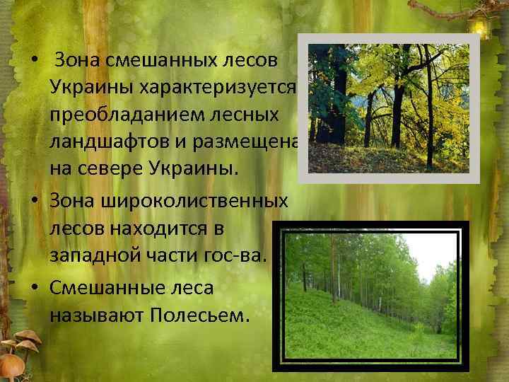  • Зона смешанных лесов Украины характеризуется преобладанием лесных ландшафтов и размещена на севере