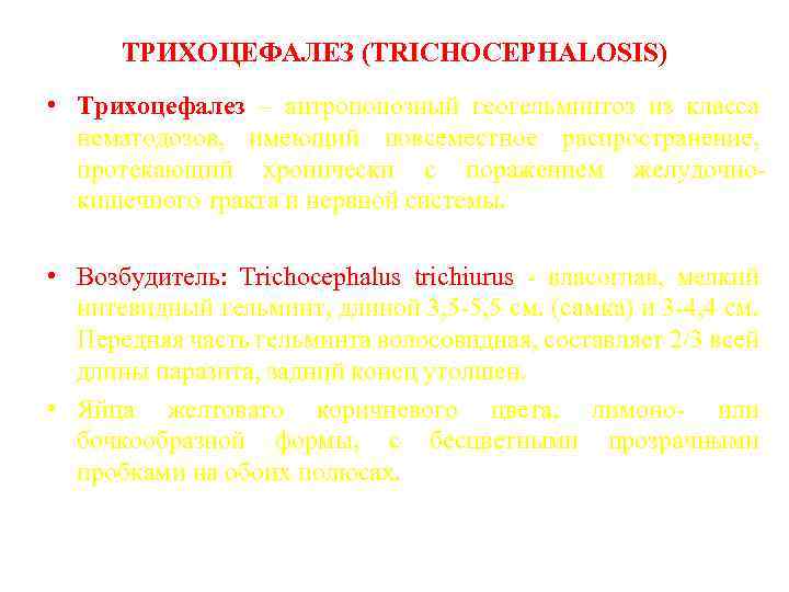 ТРИХОЦЕФАЛЕЗ (TRICHOCEPHALOSIS) • Трихоцефалез – антропонозный геогельминтоз из класса нематодозов, имеющий повсеместное распространение, протекающий