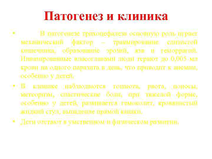 Патогенез и клиника • В патогенезе трихоцефалеза основную роль играет механический фактор – травмирование
