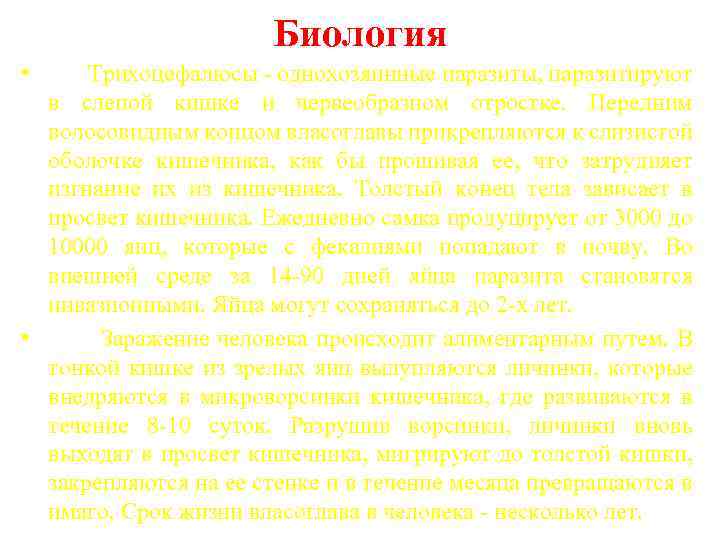 Биология • Трихоцефалюсы - однохозяинные паразиты, паразитируют в слепой кишке и червеобразном отростке. Передним