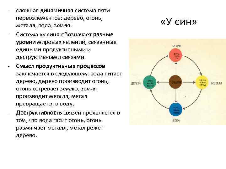 У син презентация