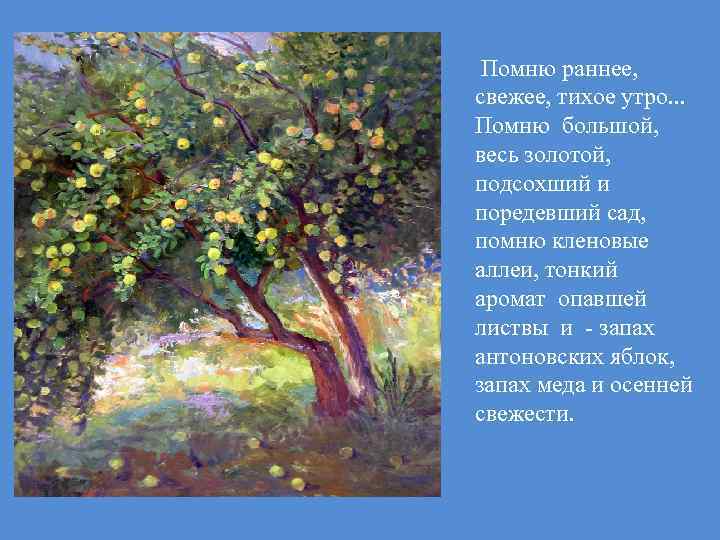 Помню раннее, свежее, тихое утро. . . Помню большой, весь золотой, подсохший и поредевший