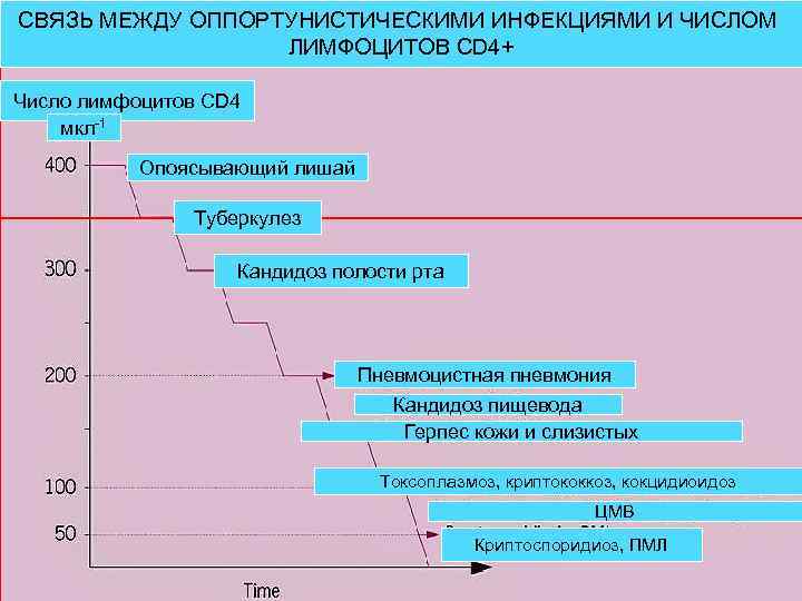 СВЯЗЬ МЕЖДУ ОППОРТУНИСТИЧЕСКИМИ ИНФЕКЦИЯМИ И ЧИСЛОМ ЛИМФОЦИТОВ CD 4+ Число лимфоцитов CD 4 мкл-1