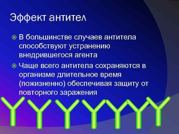 Эффект антител В большинстве случаев антитела способствуют устранению внедрившегося агента Чаще всего антитела сохраняются