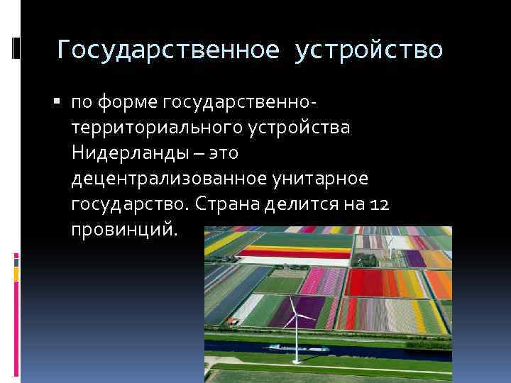 Схема политического устройства нидерландов