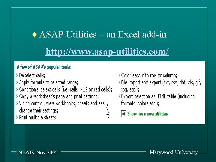 ¨ ASAP Utilities – an Excel add-in http: //www. asap-utilities. com/ NEAIR Nov. 2005