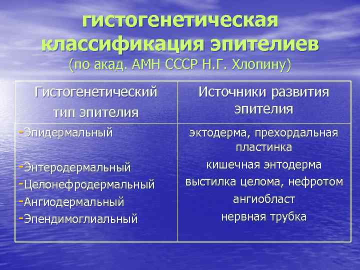 гистогенетическая классификация эпителиев (по акад. АМН СССР Н. Г. Хлопину) Гистогенетический тип эпителия -Эпидермальный