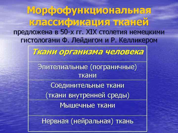 Морфофункциональная классификация тканей предложена в 50 -х гг. XIX столетия немецкими гистологами Ф. Лейдигом