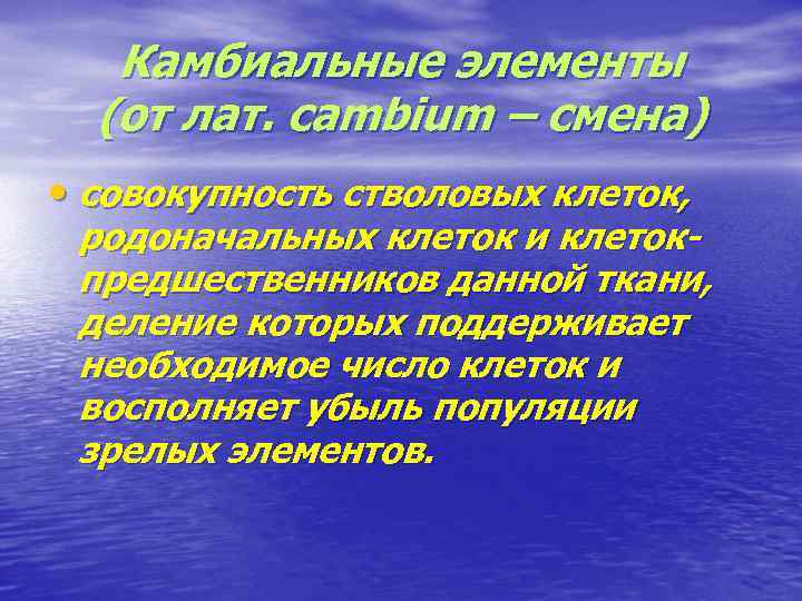 Камбиальные элементы (от лат. cambium – смена) • совокупность стволовых клеток, родоначальных клеток и