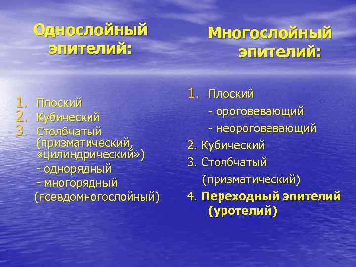 Однослойный эпителий: 1. Плоский 2. Кубический 3. Столбчатый (призматический, «цилиндрический» ) - однорядный -