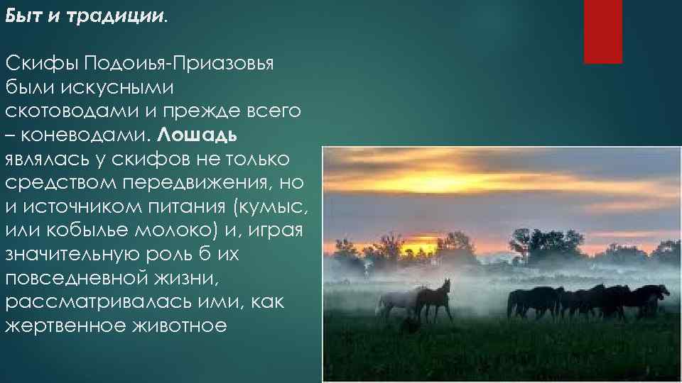 Быт и традиции. Скифы Подоиья-Приазовья были искусными скотоводами и прежде всего – коневодами. Лошадь