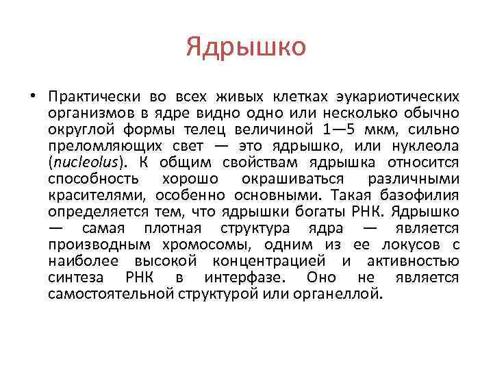 Ядрышко • Практически во всех живых клетках эукариотических организмов в ядре видно одно или