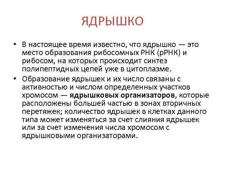 ЯДРЫШКО • В настоящее время известно, что ядрышко — это место образования рибосомных РНК