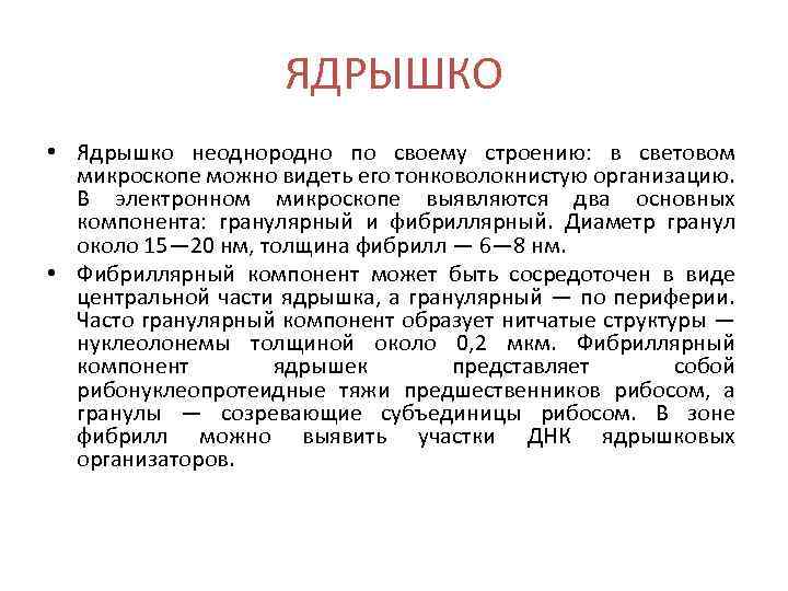ЯДРЫШКО • Ядрышко неоднородно по своему строению: в световом микроскопе можно видеть его тонковолокнистую