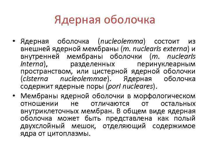 Ядерная оболочка • Ядерная оболочка (nucleolemma) состоит из внешней ядерной мембраны (m. nuclearis externa)