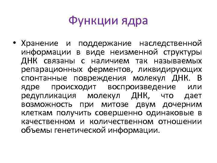 Функции ядра • Хранение и поддержание наследственной информации в виде неизменной структуры ДНК связаны