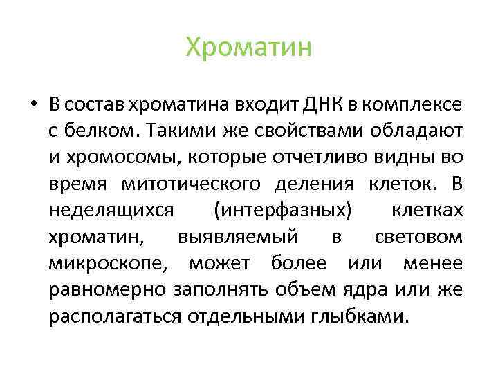 Хроматин • В состав хроматина входит ДНК в комплексе с белком. Такими же свойствами