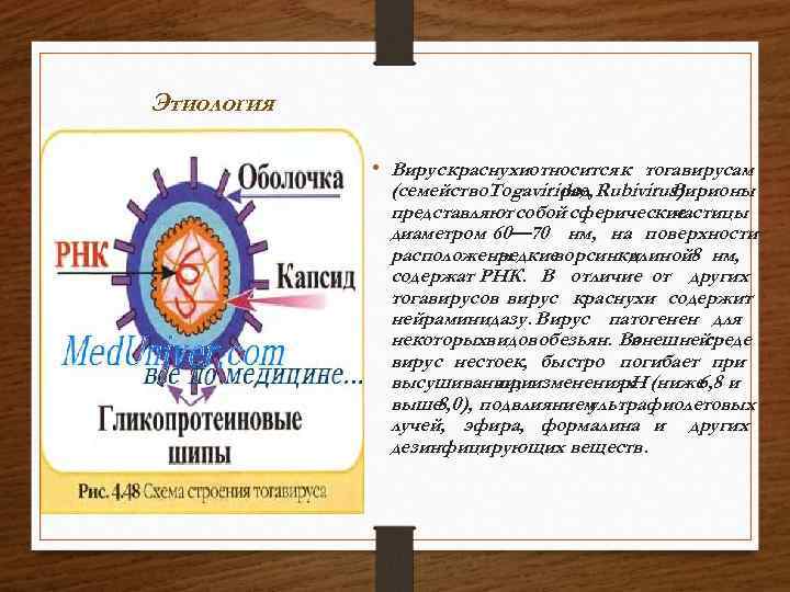 Этиология • Вирус краснухиотносится к тогавирусам (семейство. Togaviridae, род Rubivirus). Вирионы представляют собой сферические