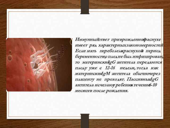  • Иммунныйответ при врожденной краснухе имеет ряд характерных закономерностей. Если мать переболела краснухой