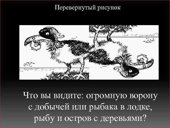 Перевернутый рисунок Что вы видите: огромную ворону с добычей или рыбака в лодке, рыбу