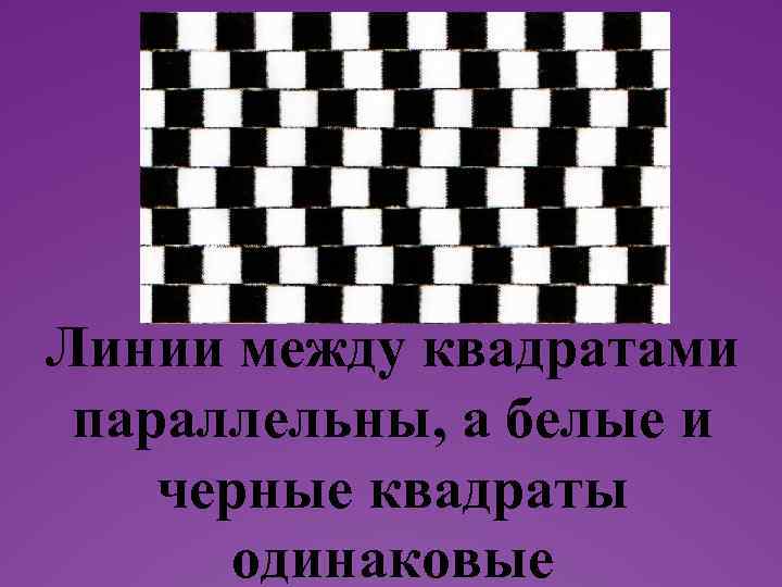 Текст надписи Линии между квадратами параллельны, а белые и черные квадраты одинаковые 