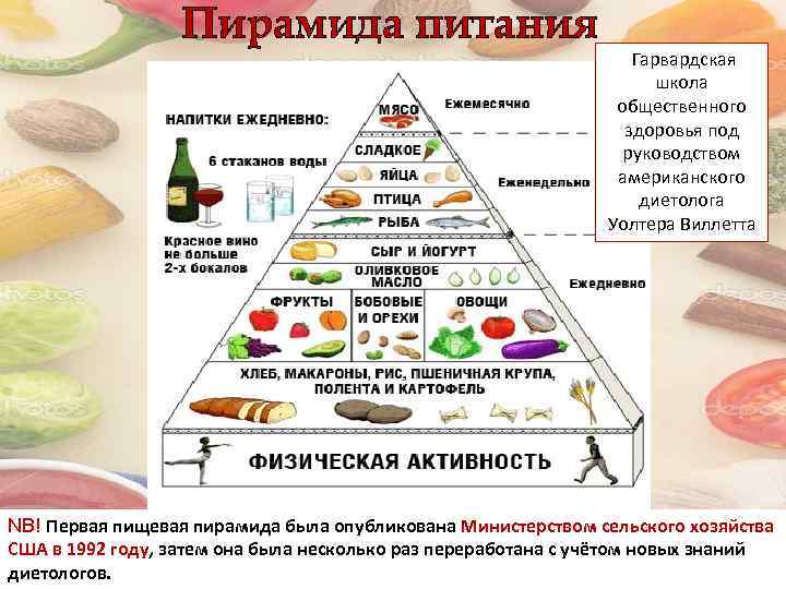 Пирамида питания Гарвардская школа общественного здоровья под руководством американского диетолога Уолтера Виллетта NB! Первая